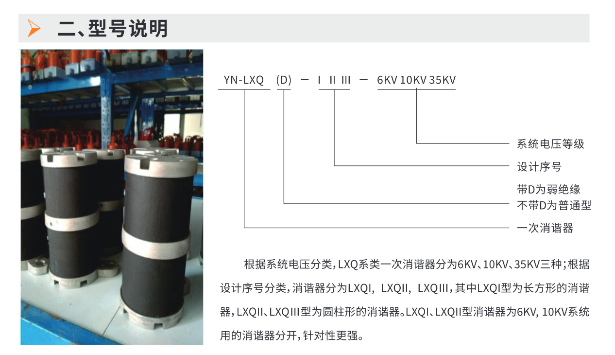 YN-LXQ 系列一次消谐器